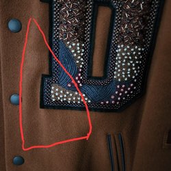 Polo Cleaners - Left an iron mark on other jacket