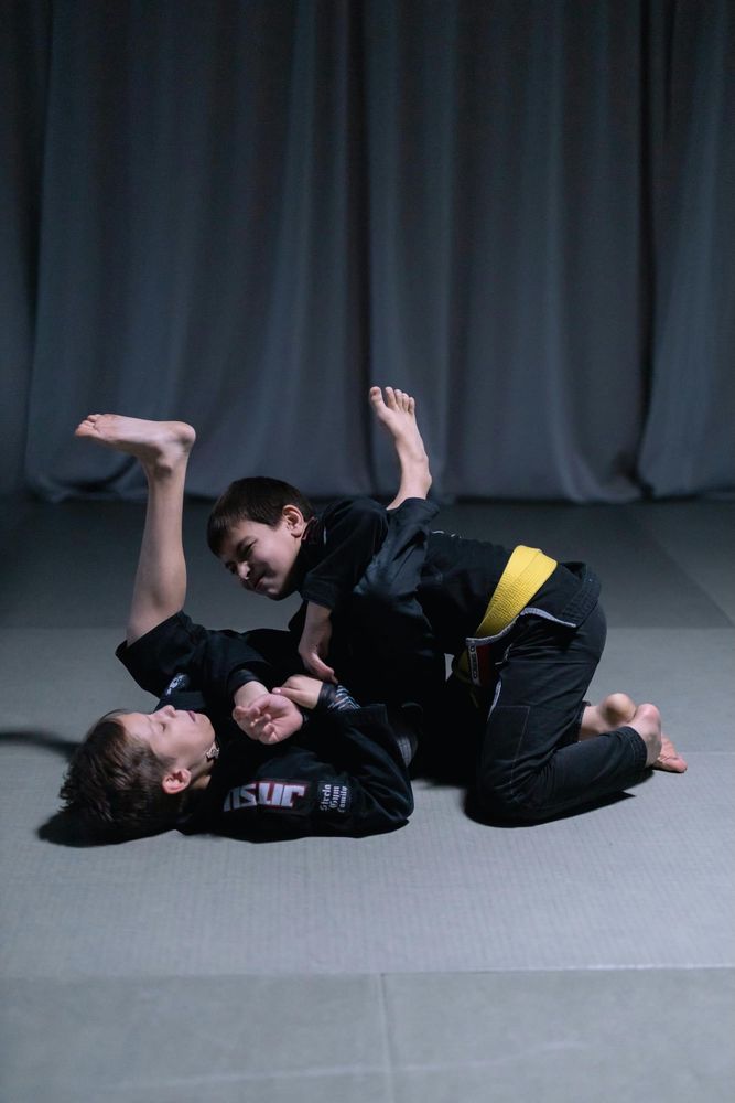 Palm Beach Jiu-Jitsu Club Logo