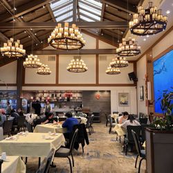 HL Peninsula Pearl