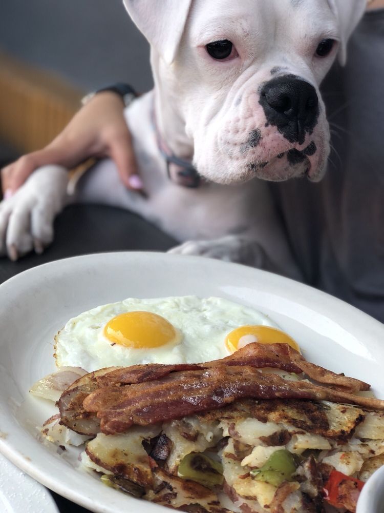 THE PAN 4101 Photos & 3463 Reviews Pizza 16601 S Western Ave