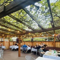 Patio covers with grape vines