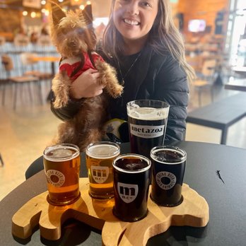 Metazoa Brewing Company - Beer flight - Breweries Near Me - Indianapolis, Indiana