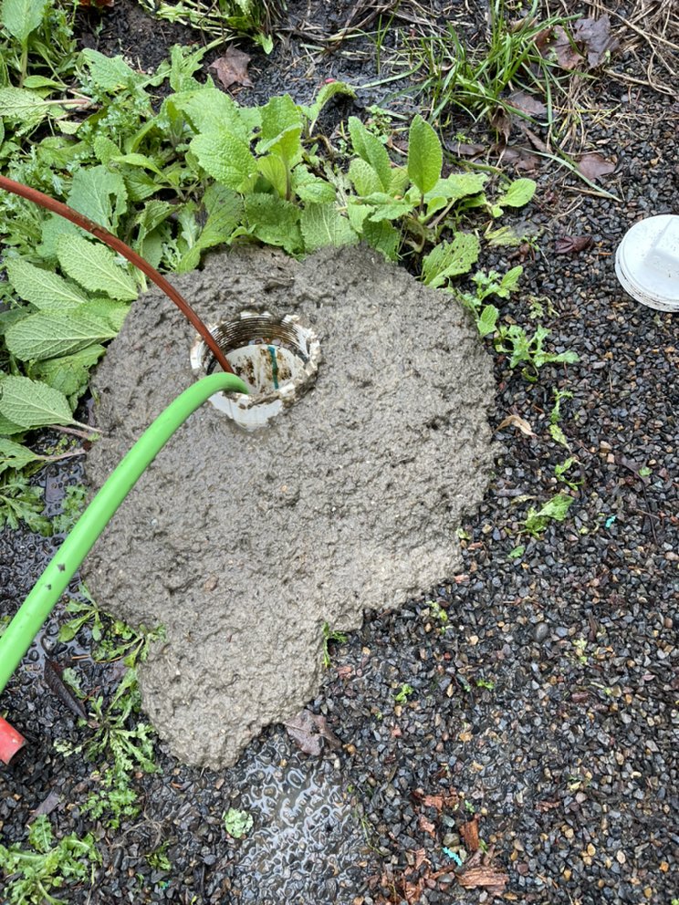 Slide of Busy Bee Drain