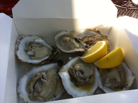 The Naked Oyster Bistro & Raw Bar by null