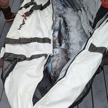 Elite Fish Processing - a fish in a cooler bag - Seafood Markets Near Me Elite Fish Processing - a fish in a cooler bag - Seafood Markets Near Me