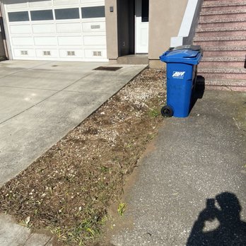 Pacific Landscaping - Before - Tree Services Near Me Pacific Landscaping - Before - Tree Services Near Me