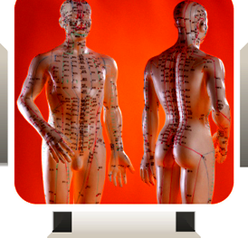Julie Qu - Acupuncture Near Me - Plano, Texas Julie Qu - Acupuncture Near Me - Plano, Texas