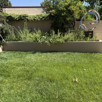 Red Shovel Landscape - Flower bed overtaken by weeds - Landscaping Near Me - Albuquerque, New Mexico