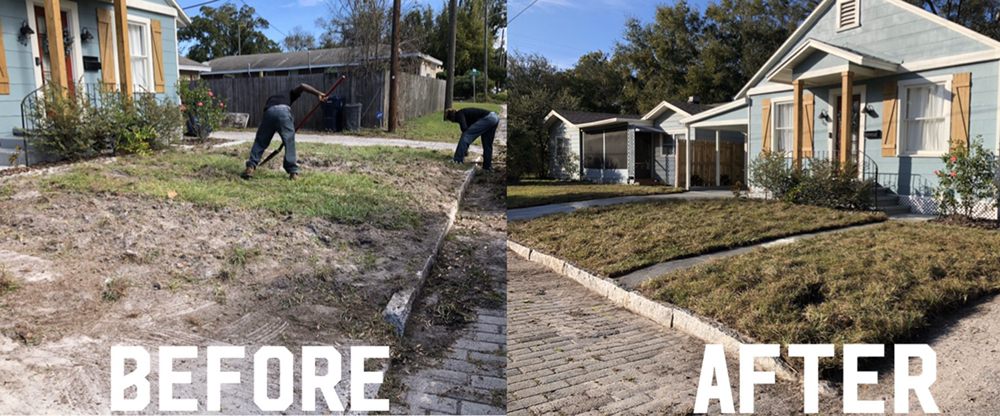 HD Landscaping - Tampa - tree service in Tampa, FL