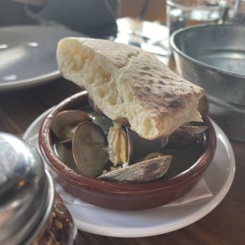 Mioposto - Oven-Roasted Hood Canal Clams. - Italian Near Me - Seattle, Washington Mioposto - Oven-Roasted Hood Canal Clams. - Italian Near Me - Seattle, Washington