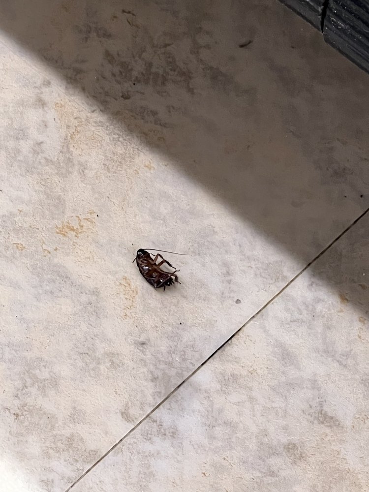 SAFEWAY Updated June 2024 30 Photos & 71 Reviews 5980 Kingstowne