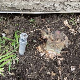Before - one of the many stumps and my sprinklers