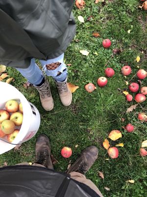 Beilke Family Farm by null