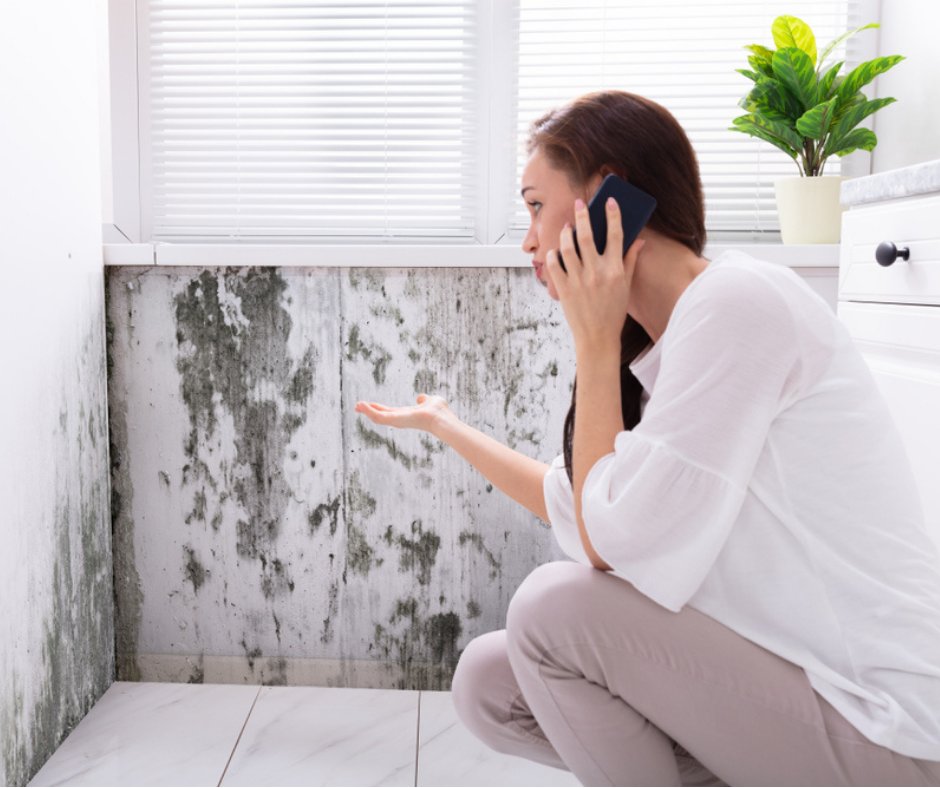 Green Home Solutions of Chicago - mold inspector in Glenview, IL