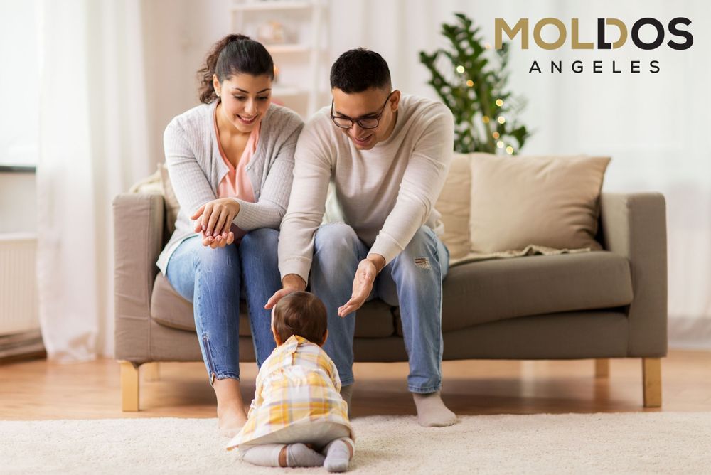 Mold Los Angeles - mold inspector in Los Angeles, CA