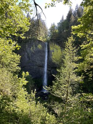 Latourell Falls by null