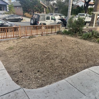 Pearloga Tree service - Tree Services Near Me Pearloga Tree service - Tree Services Near Me