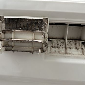 The Oliver - Mold in dishwasher. - Apartments Near Me - Atlanta, Georgia The Oliver - Mold in dishwasher. - Apartments Near Me - Atlanta, Georgia