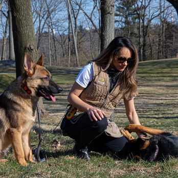The Balanced K-9 - Pet Training Near Me - Bridgeport, Connecticut The Balanced K-9 - Pet Training Near Me - Bridgeport, Connecticut