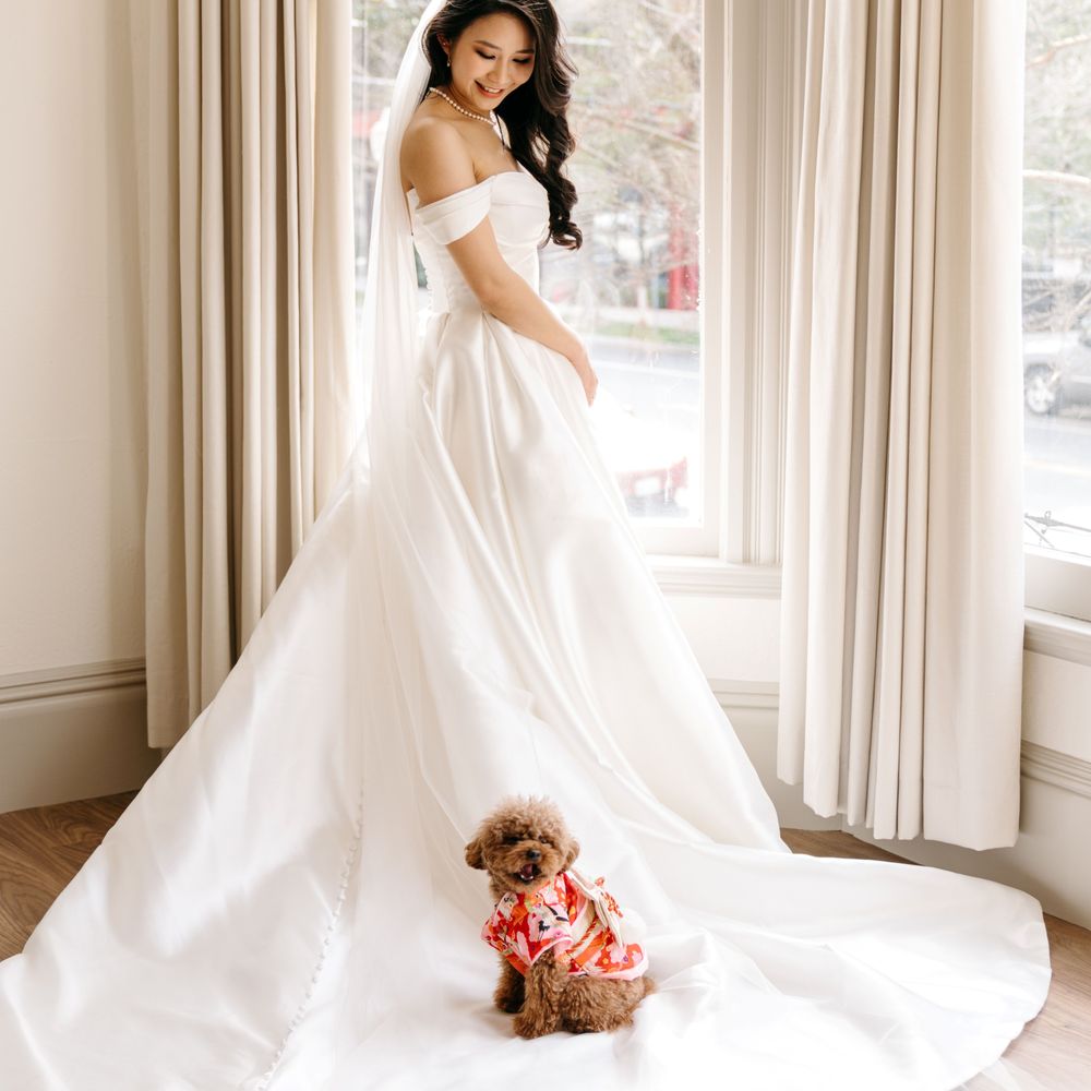 white shirt with royal blue tie