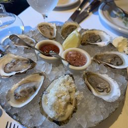 Oysters Oysters