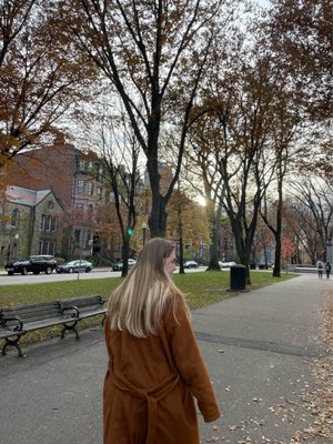 Commonwealth Avenue Mall by null