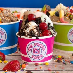 The Froyo Zone - Premium Frozen Yogurt & Toppings