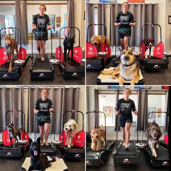 Ridgeside K9 Winchester - They walk, we walk, we all walk together!!!!! - Pet Training Near Me - Winchester, Virginia Ridgeside K9 Winchester - They walk, we walk, we all walk together!!!!! - Pet Training Near Me - Winchester, Virginia