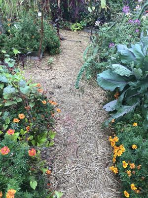 Seed Savers Exchange by null
