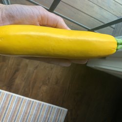 Pike Farms Sagaponack - Yellow summer squash