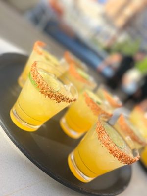 Spritz Restaurant & Bar by null
