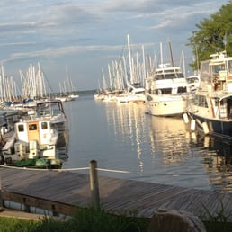 NAKED TURTLE - Updated July 2025 - 53 Photos & 104 Reviews - 1 Dock St