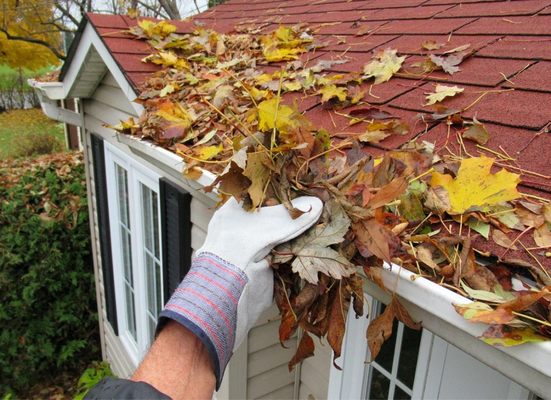 Pro Gutter Cleaning