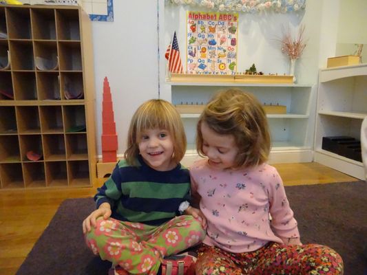 Elemental Arts Montessori