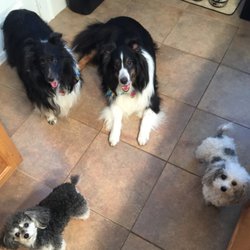 No Place Like Home - We take up to two guests to join us with our two poodles Charlie and Dexter