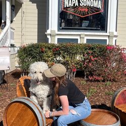 Lucca the Napa Dog - Lucca and Sammy in front of the Shop on 1st St. Downtown Napa