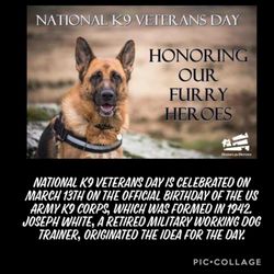 Blue Line K-9 Dog Training - Thank you to all the workings k-9s