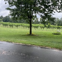 The winery The winery