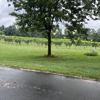 Lake Anna Winery - The winery - Wine Tours Near Me - Spotsylvania, Virginia Lake Anna Winery - The winery - Wine Tours Near Me - Spotsylvania, Virginia