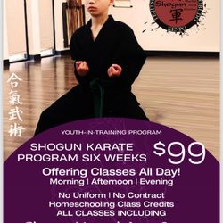 Shogun Martial Arts Center International