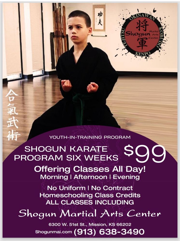 Shogun Martial Arts Center International Logo