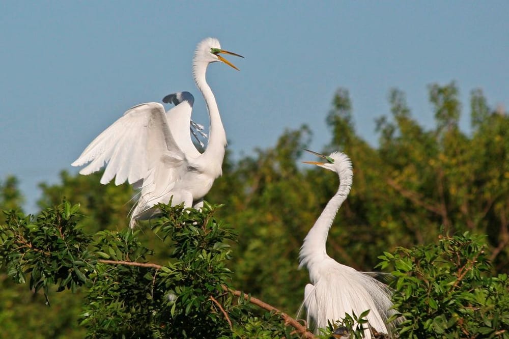 THE WEAVER GROUP REALTY 14 Photos 3436 Shoal Line Blvd, Hernando Beach, Florida Real