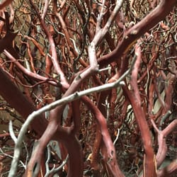Artful Nature Decor