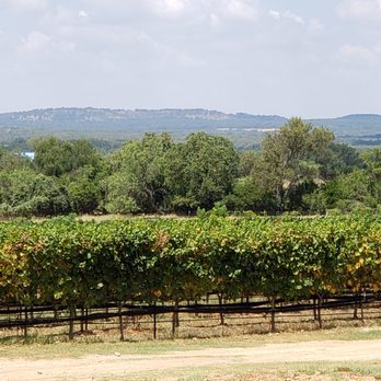 William Chris Vineyards - Wineries Near Me - Hye, Texas William Chris Vineyards - Wineries Near Me - Hye, Texas