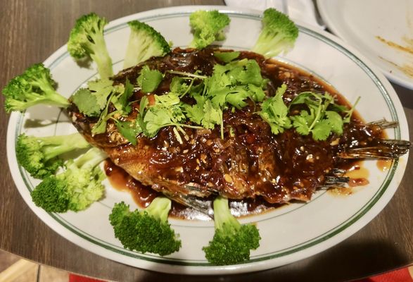 Thai Kitchen Restaurant by null
