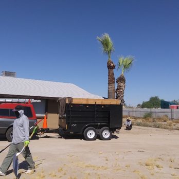 Ozzy Tree Service - Tree Services Near Me Ozzy Tree Service - Tree Services Near Me