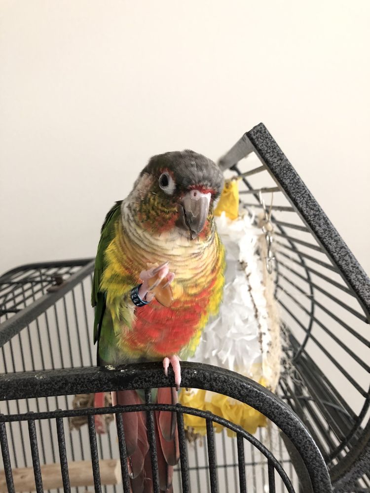 Family Pet Center Image