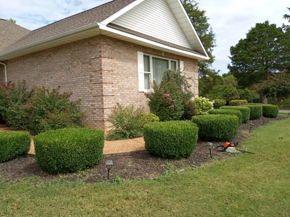 NEWMAN PRO CUT LAWN & LANDSCAPING 12 Photos Seymour, Tennessee