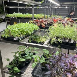Inside growing tables Inside growing tables