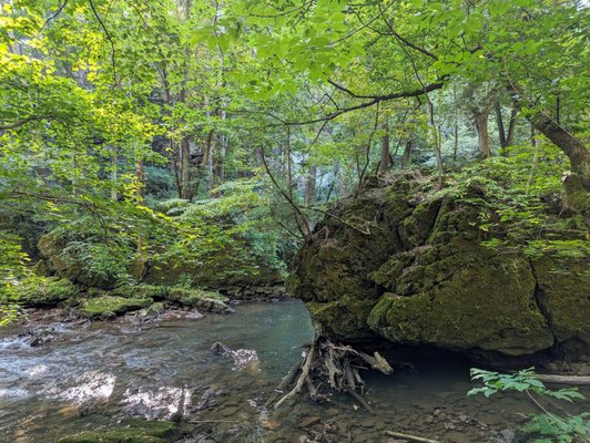 Clifton Gorge State Nature Preserve by null